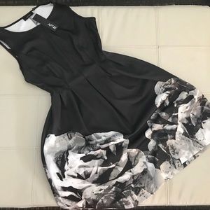 Black/white A line dress! NWT